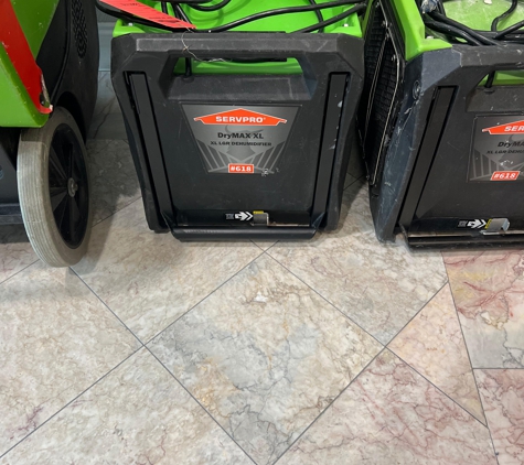 SERVPRO of Central Bloomingdale, Fish Hawk - Riverview, FL