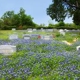 Memorial Care of North Texas Grave Site Maintenance