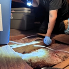 JKR Pest Solutions