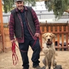 Taggs K9 Dog Training gallery