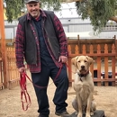 Taggs K9 Dog Training - Dog Training