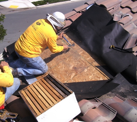 Safe & Alive Bee Hive Removal - San Diego, CA