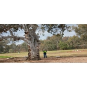 Gallery Image Number 2