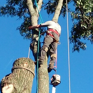 Alan's Tree Removal - West Point, KY