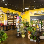 Bumblebee Blooms Flower Boutique