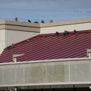 Pigeon Man of Arizona LLC - Bird Barriers, Repellents & Controls