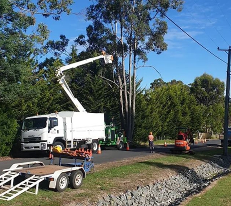 A1 Tree Specialists - Tarleton, TAS