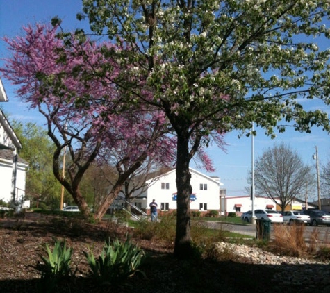 Sump Memorial Library - Papillion, NE