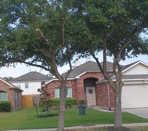 Southeast Tree - Pasadena, TX