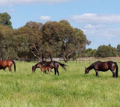 James W V & Sons - Woolumbool, SA