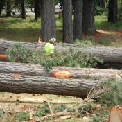 Gallery Image Number 6