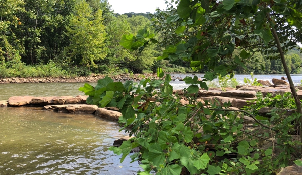 Green House Park - Johnstown, PA