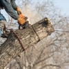 Grizzly Tree Service gallery