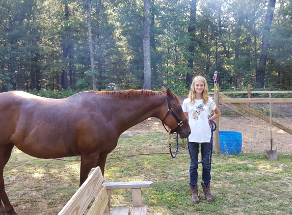 Little Bit's Horse Sense & Horse Training - Newaygo, MI