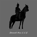 Stonewall Arms Inc - Guns & Gunsmiths