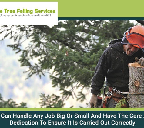 Adelaide Tree Felling Services - Glynde, SA. We Can Handle Any Job Big Or Small And Have The Care And Dedication To Ensure It Is Carried Out Correctly