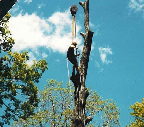 Connecticut Tree Service of Naugatuck, LLC - Naugatuck, CT