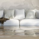 First Call Restoration Inc - Water Damage Restoration