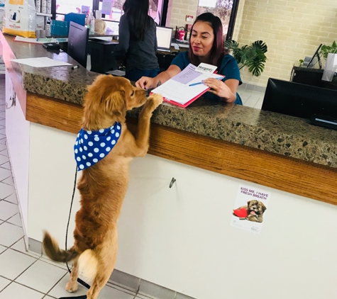 Ellison Drive Veterinary Hospital - San Antonio, TX