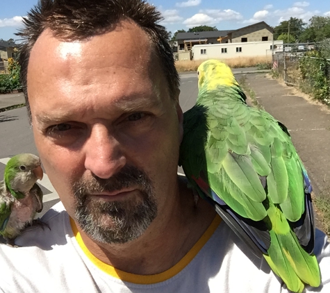 A to Z Pets - Portland, OR. Gary , Sugar Baby and Peekaboo
