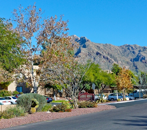 Saddle Ridge Apartments - Tucson, AZ