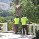 Cutting Edge Tree Professionals, LLC - Landscaping & Lawn Services