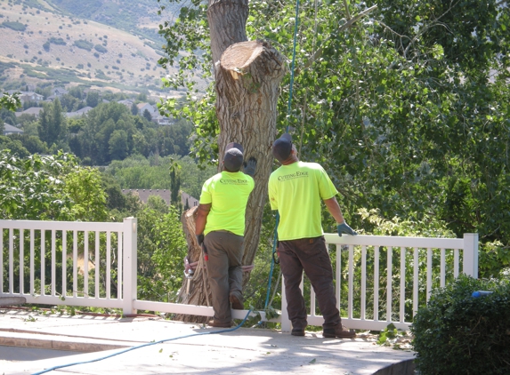 Cutting Edge Tree Professionals, LLC - Layton, UT