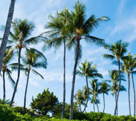 Sherwood's Tree Service - Honolulu, HI