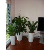 Gallery Image Number 7