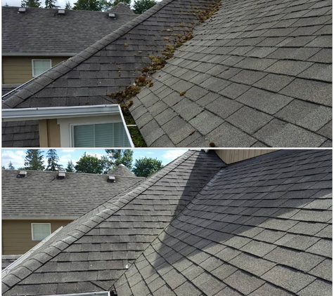 Moss Defender roof and gutter cleaning LLC - Sultan, WA