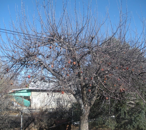 Twin Peaks Tree Care - West Jordan, UT