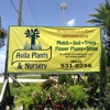 Avila Plants & Nursery gallery