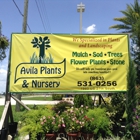 Avila Plants & Nursery