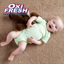 Oxi Fresh Carpet Cleaning - Carpet & Rug Cleaners