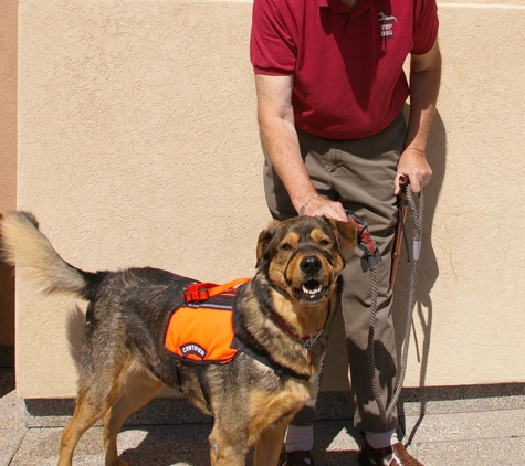 Top Dog Training Program - Tucson, AZ