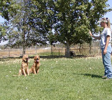 Don O'Brien Boarding & Training Kennel