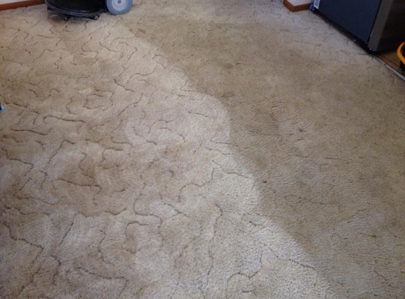 Z Best Carpet Care