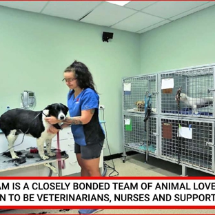 North Bundaberg Vet Surgery - Bundaberg North, QLD. Our Team Is A Closely Bonded Team Of Animal Lovers Who Happen To Be Veterinarians, Nurses And Support Staff