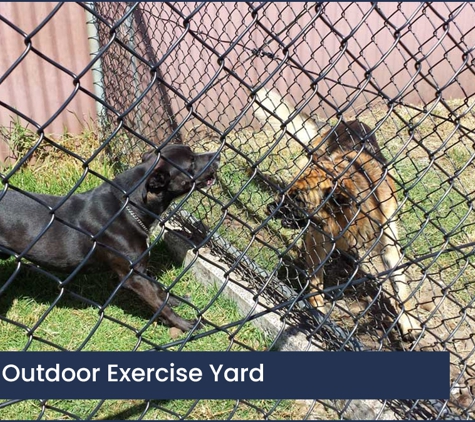 Ulverstone Boarding Kennels & Cattery - Ulverstone, TAS. Secure Outdoor Exercise Yard