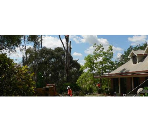 The Tree Surgeon - Spring Creek, NSW