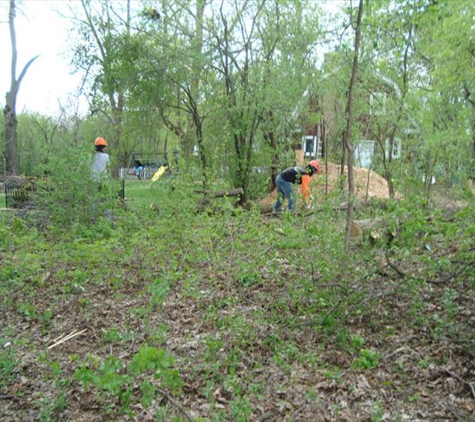 Thoma's Tree Service - Wheaton, IL