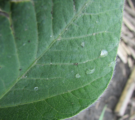 Ag Water Management - Onarga, IL