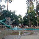 Bear Branch Pool - Swimming Pool Construction