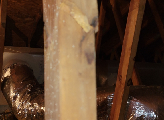 Rivertown Home Inspections - Conway, SC. Broken truss in the attic that was not in their inspection.