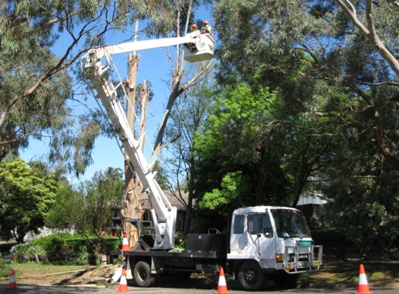 Drouin Tree Services - Drouin, VIC