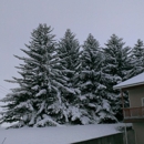 Yellowstone Physical Therapy - Physical Therapists