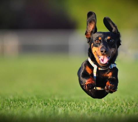 Boise Kennels - Boise, ID