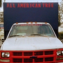 All American Tree Services & Landscaping of South Florida Inc. - Tree Service