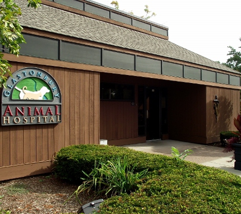 Glastonbury Animal Hospital - Glastonbury, CT