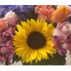 Heaven Scent Flowers & Gifts